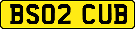 BS02CUB