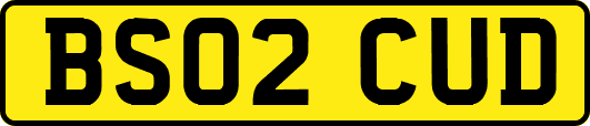 BS02CUD