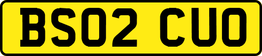 BS02CUO