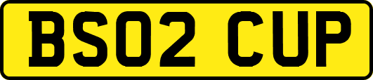 BS02CUP