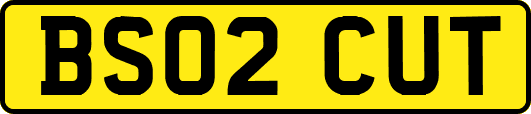 BS02CUT
