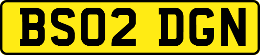 BS02DGN