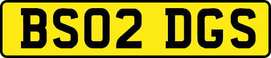 BS02DGS