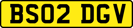 BS02DGV