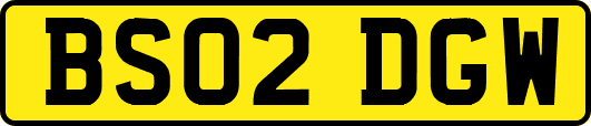 BS02DGW