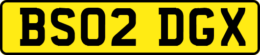BS02DGX