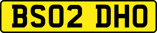 BS02DHO