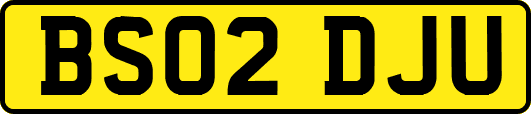 BS02DJU