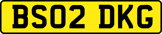 BS02DKG