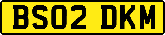 BS02DKM