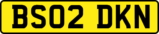 BS02DKN