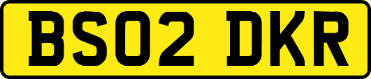 BS02DKR