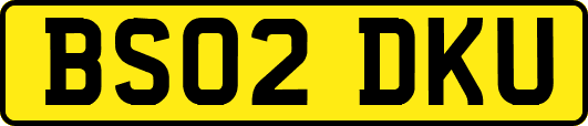 BS02DKU