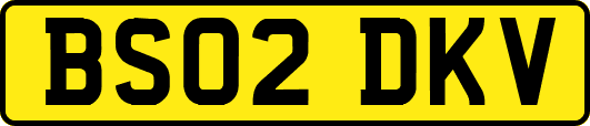 BS02DKV