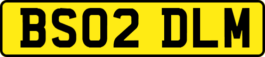 BS02DLM