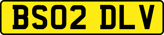 BS02DLV
