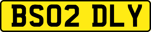 BS02DLY