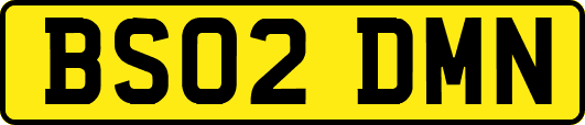 BS02DMN