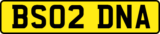 BS02DNA