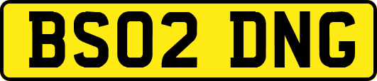 BS02DNG