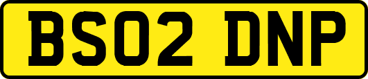 BS02DNP