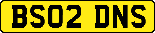 BS02DNS