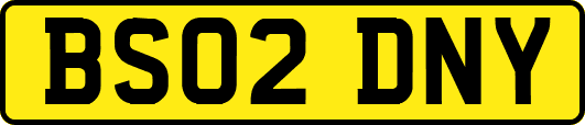 BS02DNY
