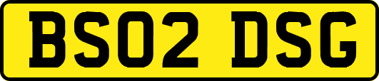 BS02DSG