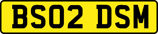 BS02DSM