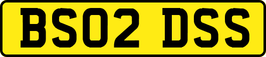 BS02DSS