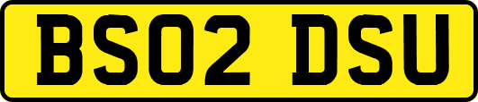 BS02DSU