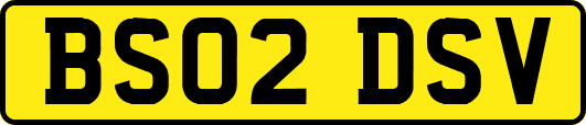 BS02DSV