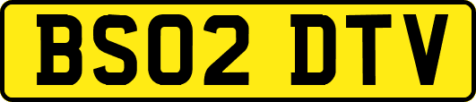 BS02DTV