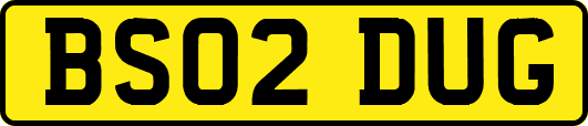 BS02DUG