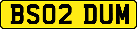 BS02DUM