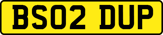 BS02DUP