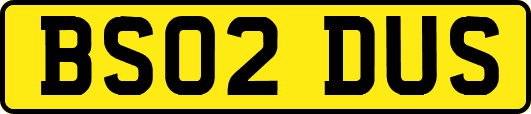 BS02DUS