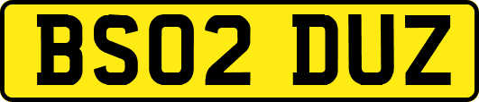BS02DUZ