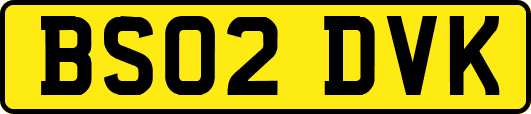 BS02DVK