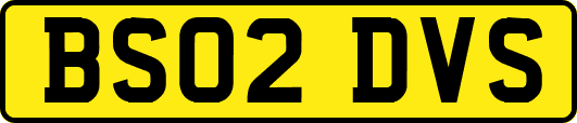 BS02DVS