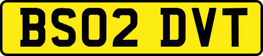 BS02DVT