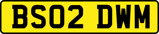 BS02DWM