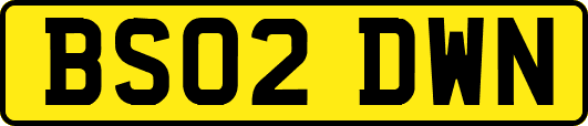 BS02DWN
