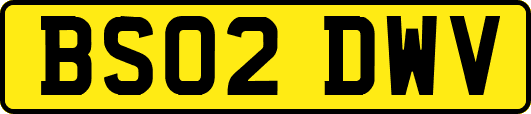 BS02DWV