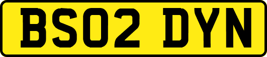 BS02DYN