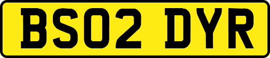 BS02DYR