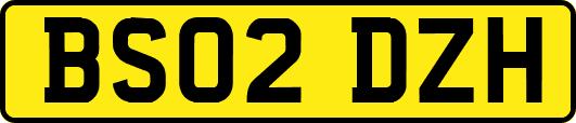 BS02DZH