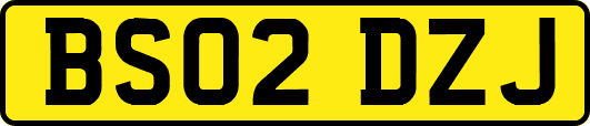 BS02DZJ
