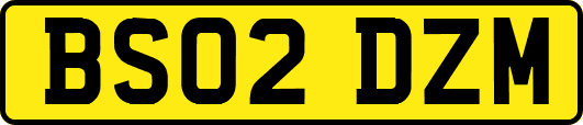 BS02DZM
