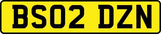 BS02DZN